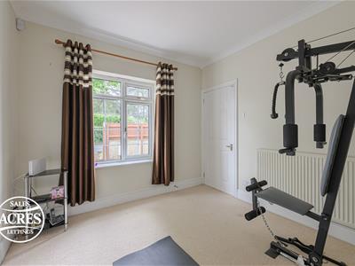 Picture 13